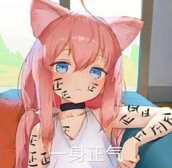 对子哈特-千美评测