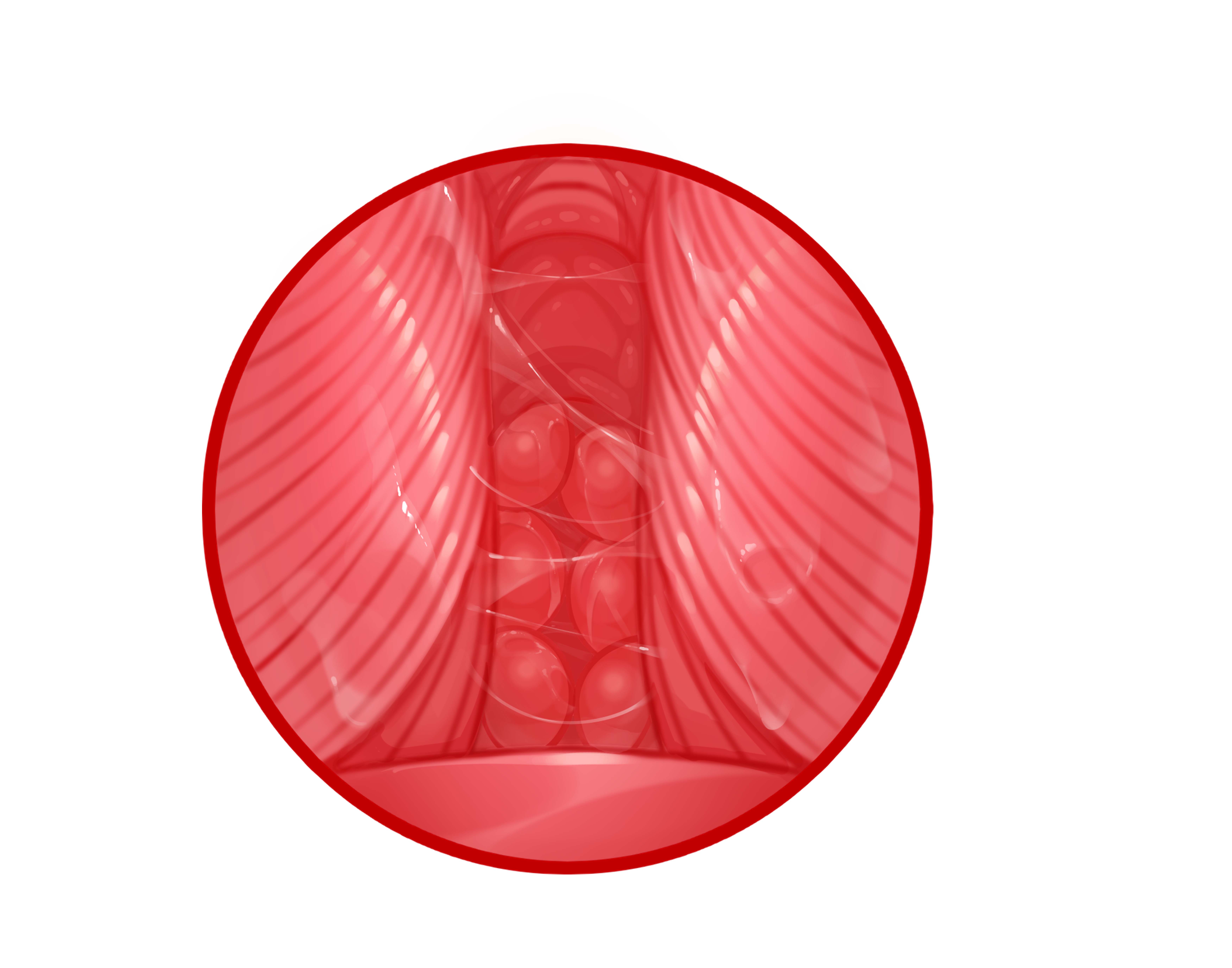 小屁股与妹妹体验日记~新人评测师土土实测“风俗娘”“生徒会长”