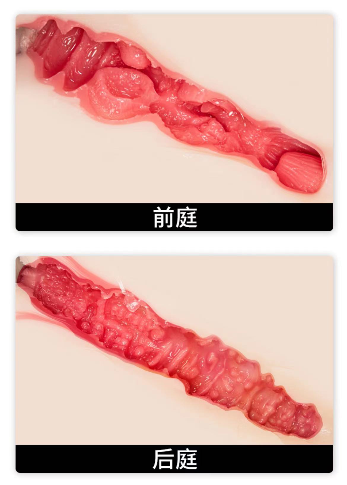 NPG极上生腰（七代目）评测！备受瞩目的续作，首次采用电动设计的顶配大屁股！