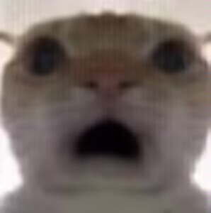 汤玛托易士-圣少女sleepless联名款飞机杯评测,间宫真理亚(中高刺激)