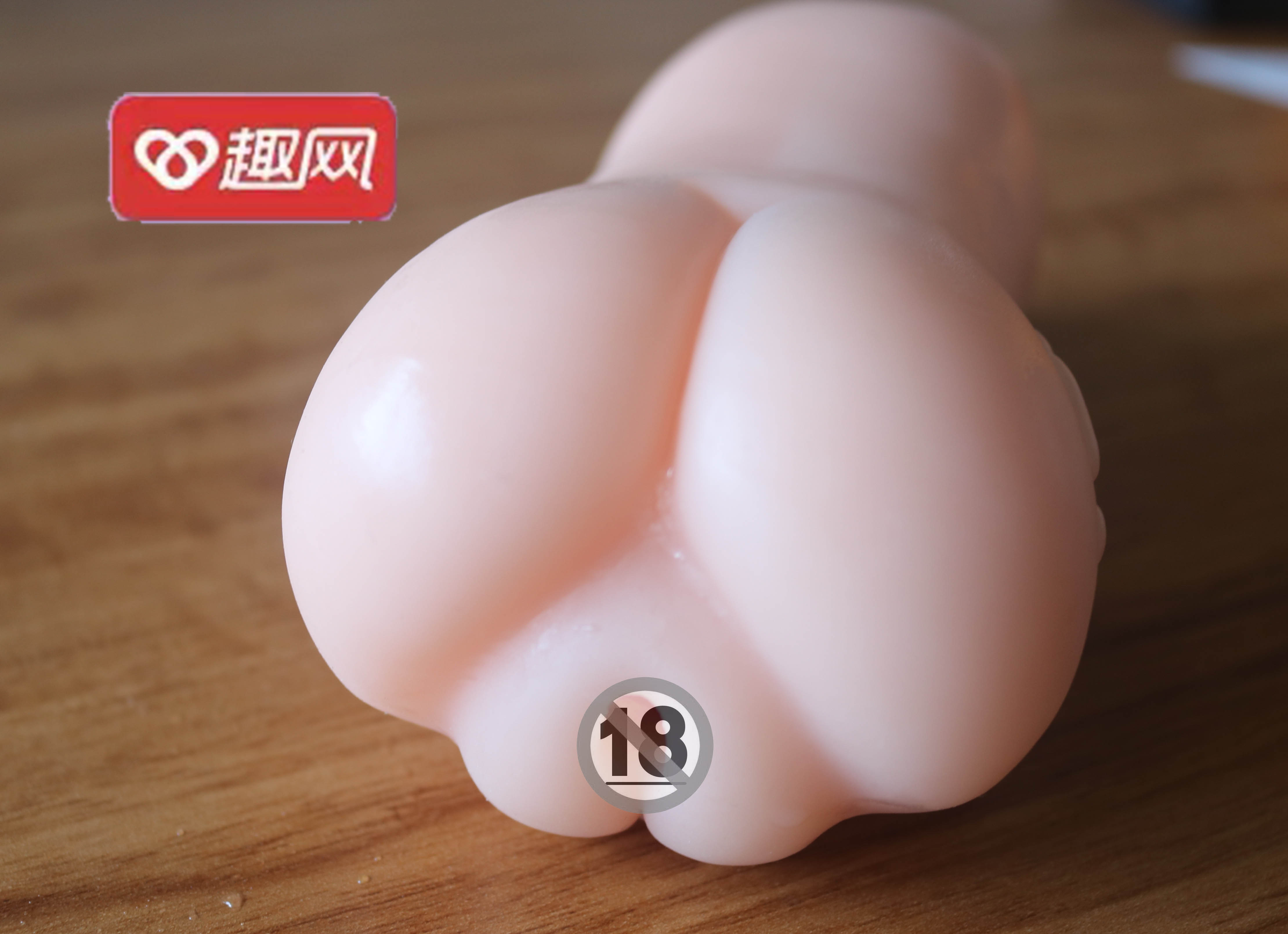 “我和我的动物朋友！”趣网美优酱评测（进阶）评测，无口系猫娘