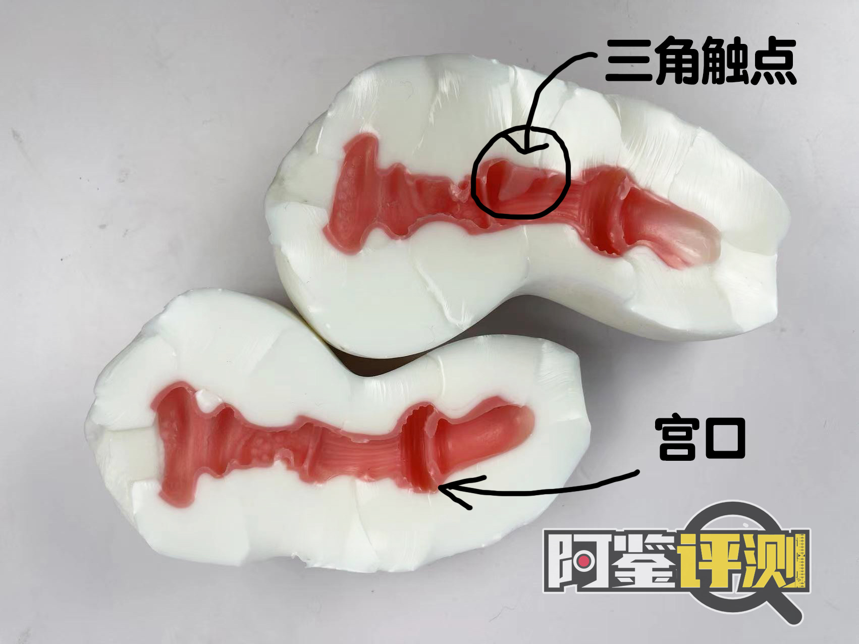 GXP-“觉醒子宫“（中高刺激）评测！白色的雪山妖精，更高的硬质感刺激？