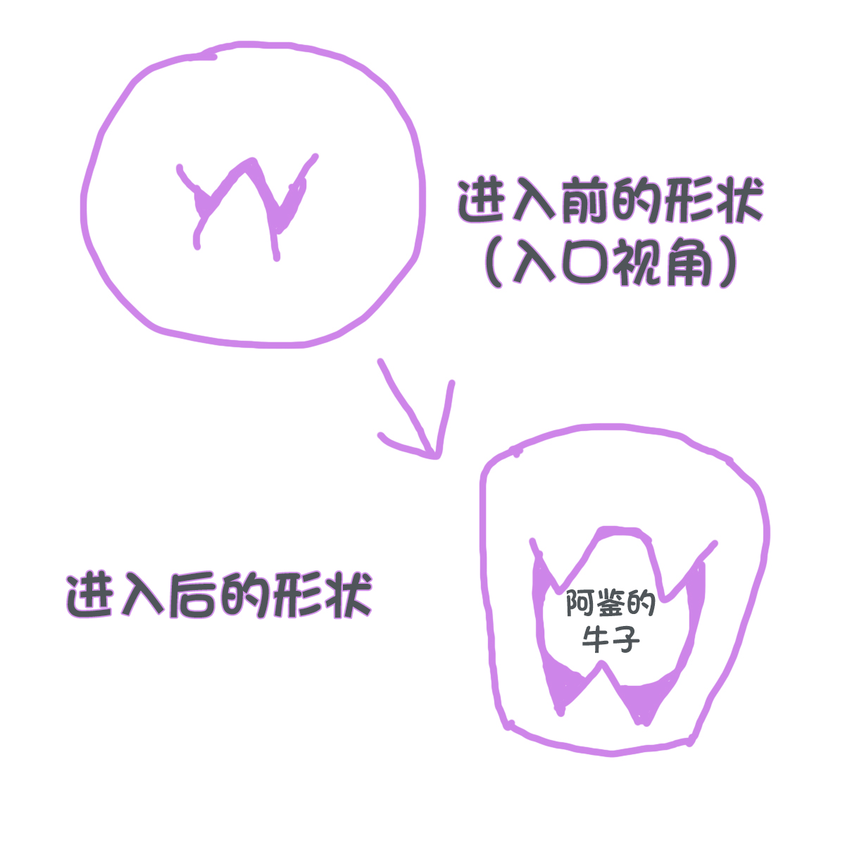 Hotpower-“淫梦国精灵公主”评测!蛇形深喉飞机杯,日本人的白娘子