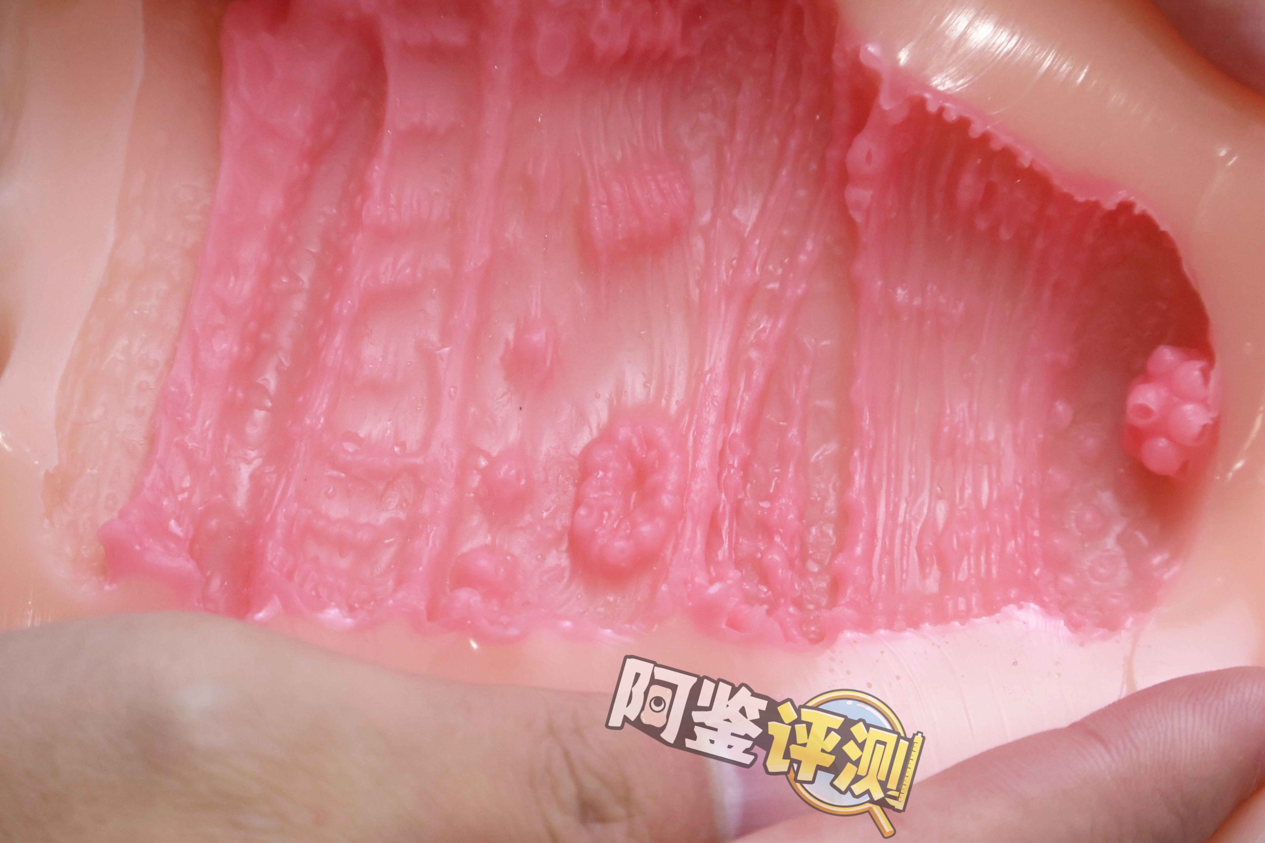 GXP—“工口新入生”评测！毫无压力的宽松型慢玩！平淡但不太腻