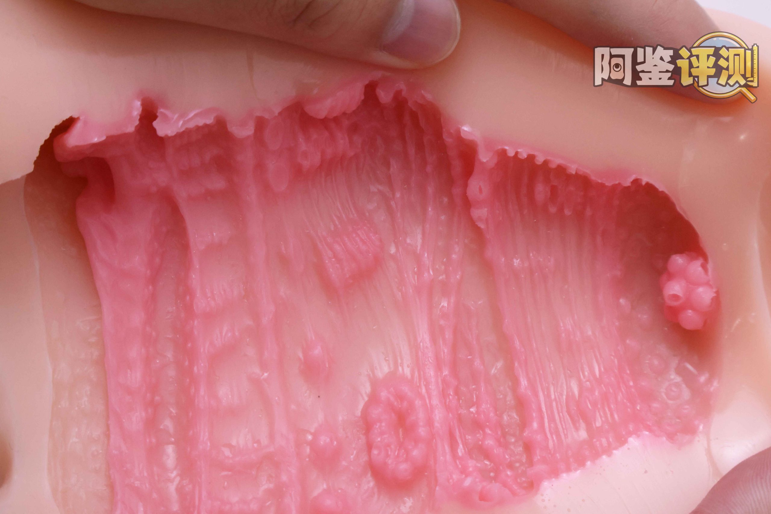 GXP—“工口新入生”评测！毫无压力的宽松型慢玩！平淡但不太腻