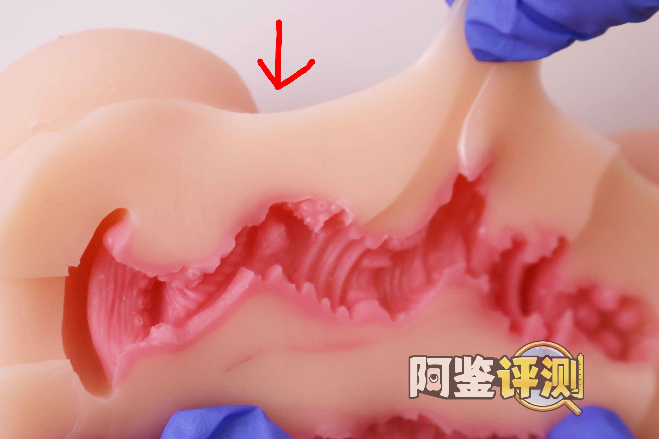 GXP—“异世界 龙娘”评测!1.4kg!飞机杯中的“超大杯”!到底算半身还是算名器?