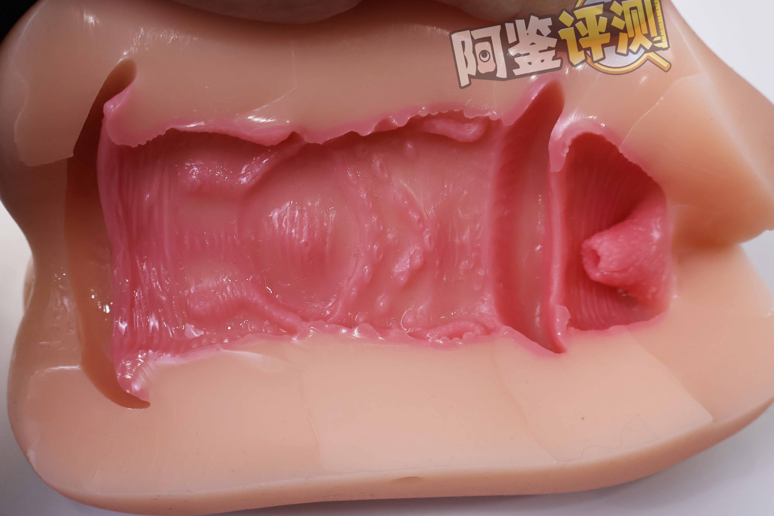 GXP—“以圣诞之名”评测!不是圣诞老人,也能骑驯鹿!