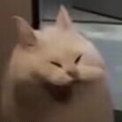 涩井“延时喷雾/湿巾”评测!麻醉换来的【耐久度】,是维护男人尊严,还是自欺欺人?