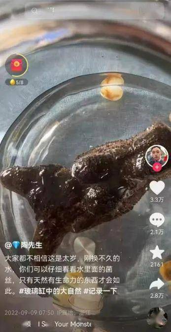 国产没牌子——“人形飞机杯”评测!最考古的一集!阿鉴用过的第一个斐济杯同款!