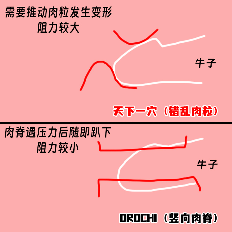 Ride-Japan——“OROCHI”评测！龙年打龙炮！要冲就冲红色冒头龙！