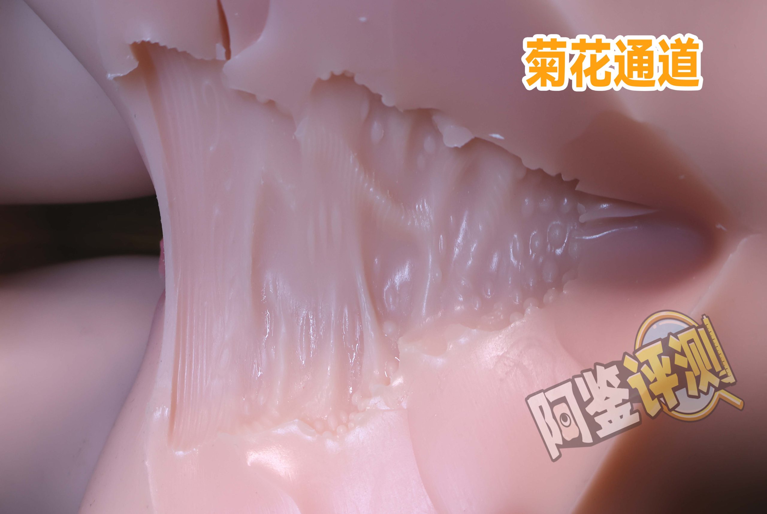 GXP——“夏威夷之旅”评测！最夸张的20kg“健身道具”，两处软胶的（超级贵）娃娃级玩具！