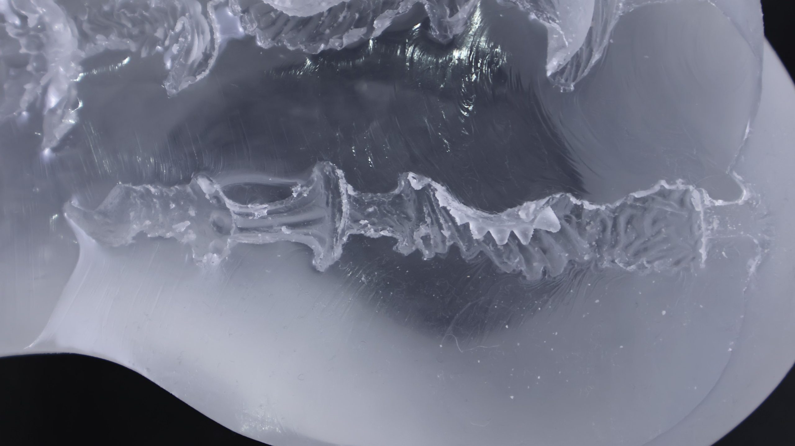 LoveFactor——“应援会长（透明版）”评测！硬度的变化如此之少，似乎只是为了透视噱头