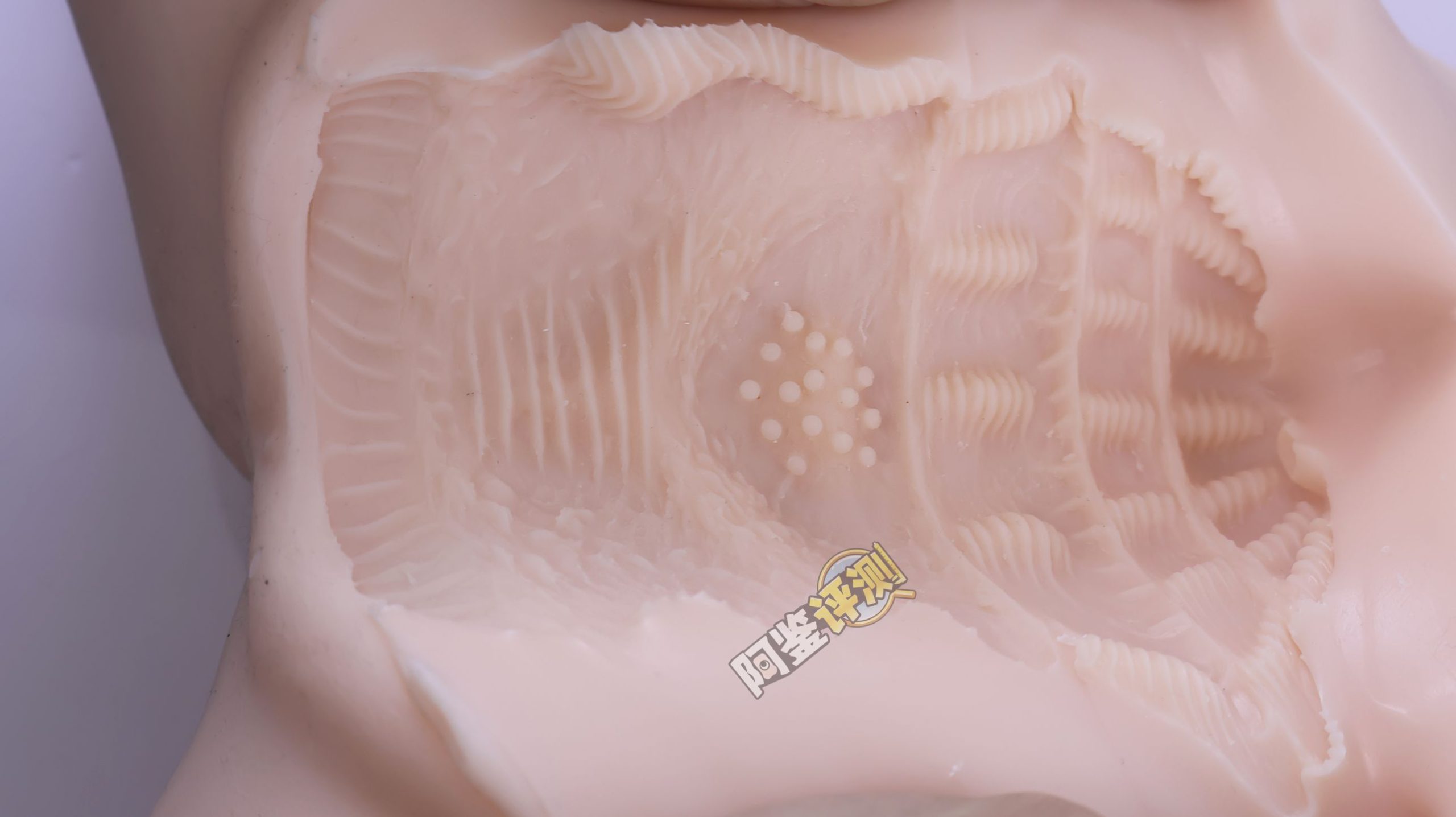 MACCOS——“纯洁之体”评测！少见的带腿小臀模，多种多样的视觉角度