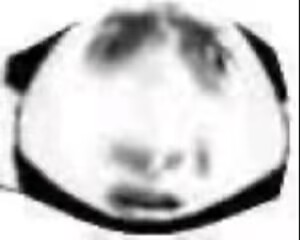 G-project——“猫耳娘”评测！造型明明是很大一个，通道居然这么短小？