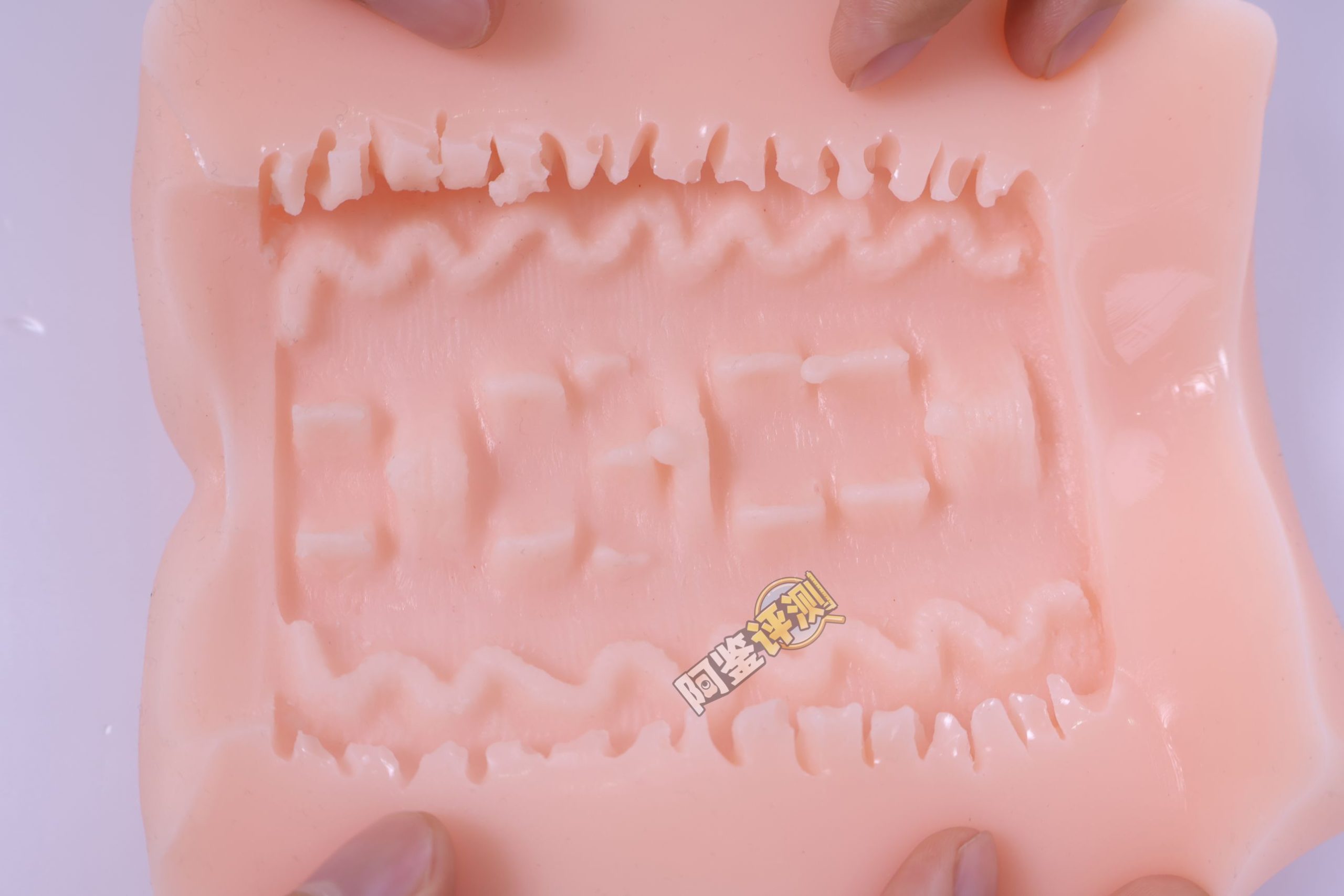 汤玛托易士——“圣华女学院”评测！这样的“粗枝大叶”，或许才是慢玩杯更需要的