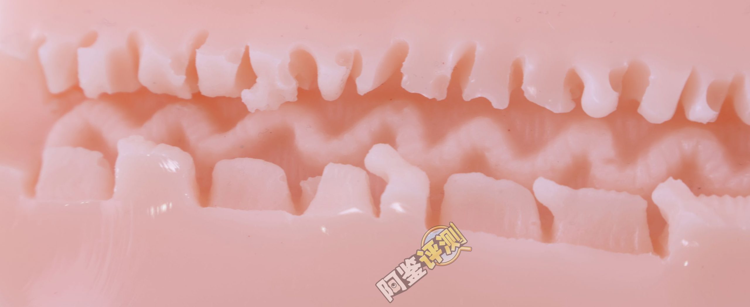 汤玛托易士——“圣华女学院”评测！这样的“粗枝大叶”，或许才是慢玩杯更需要的