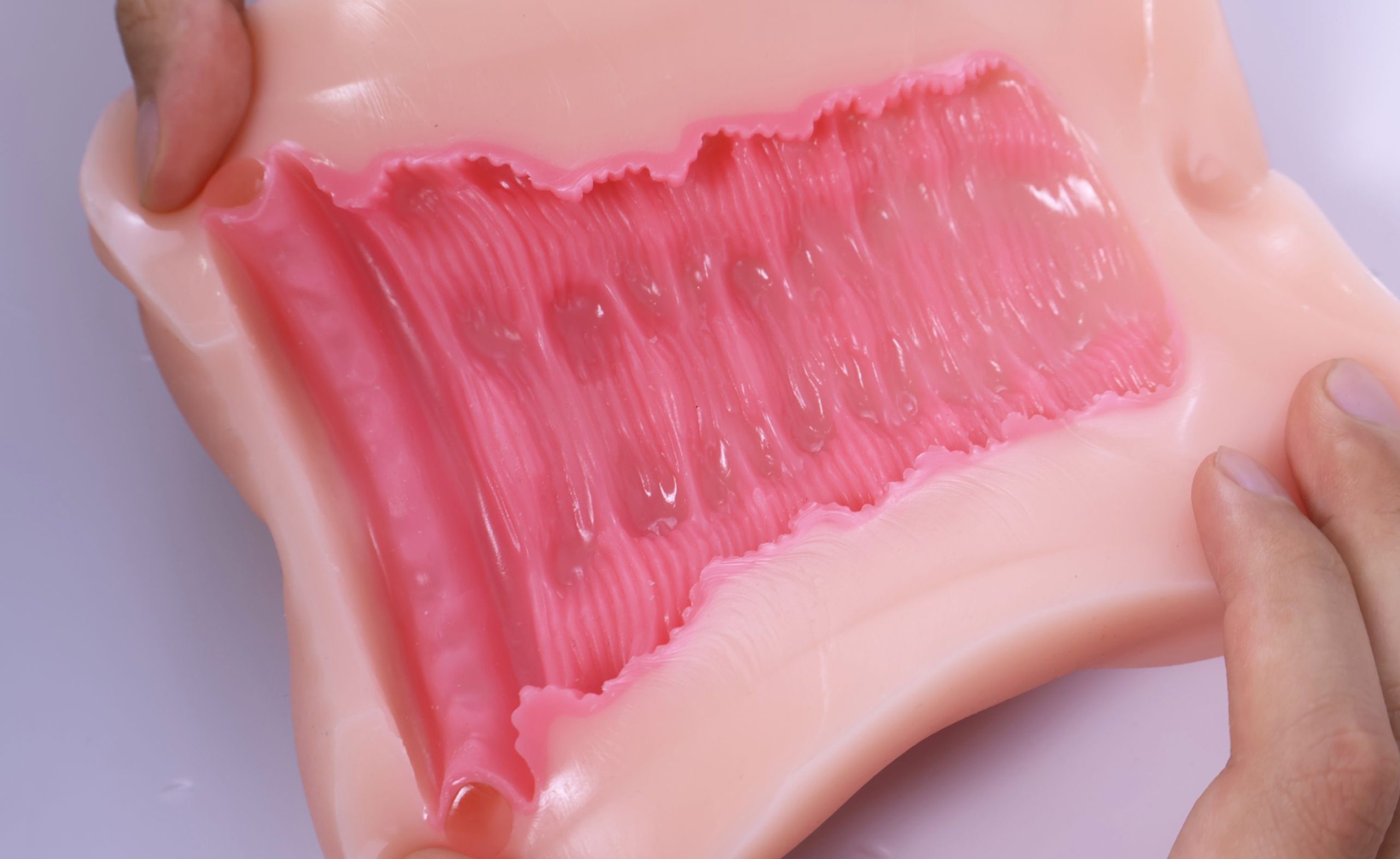 LoveFactor——“萌妻解禁”评测！久违的约束环菊花杯，似曾相识的三层材质结构