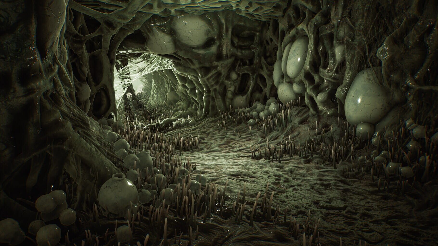 汤玛托易士——“退学魔王”评测！异形巢穴一样的表面结构，实际感受却是自然的真实感？