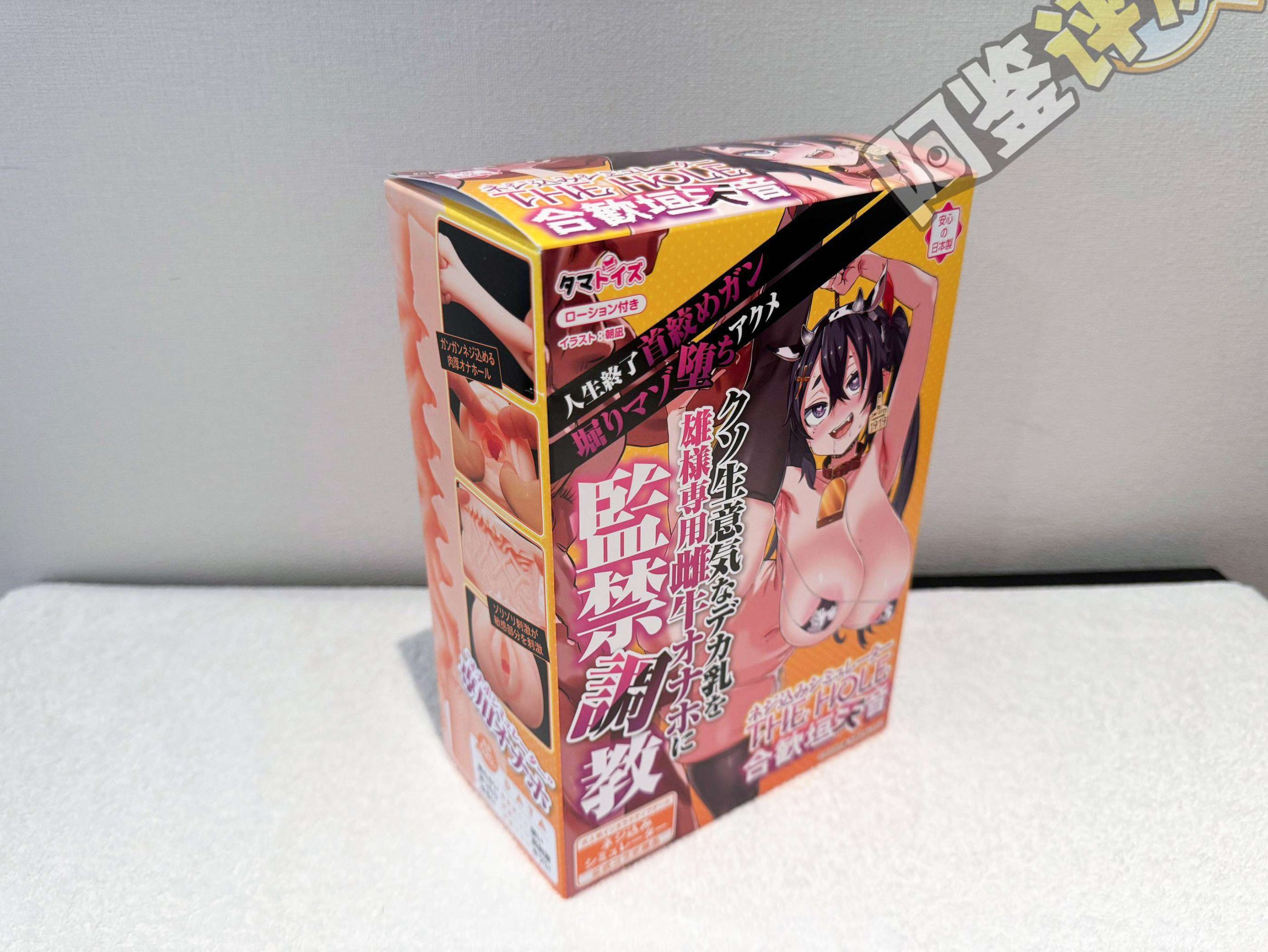 汤马托易士——“监禁调教”评测！朝凪老师最喜欢的玩法，原来是这样的感觉