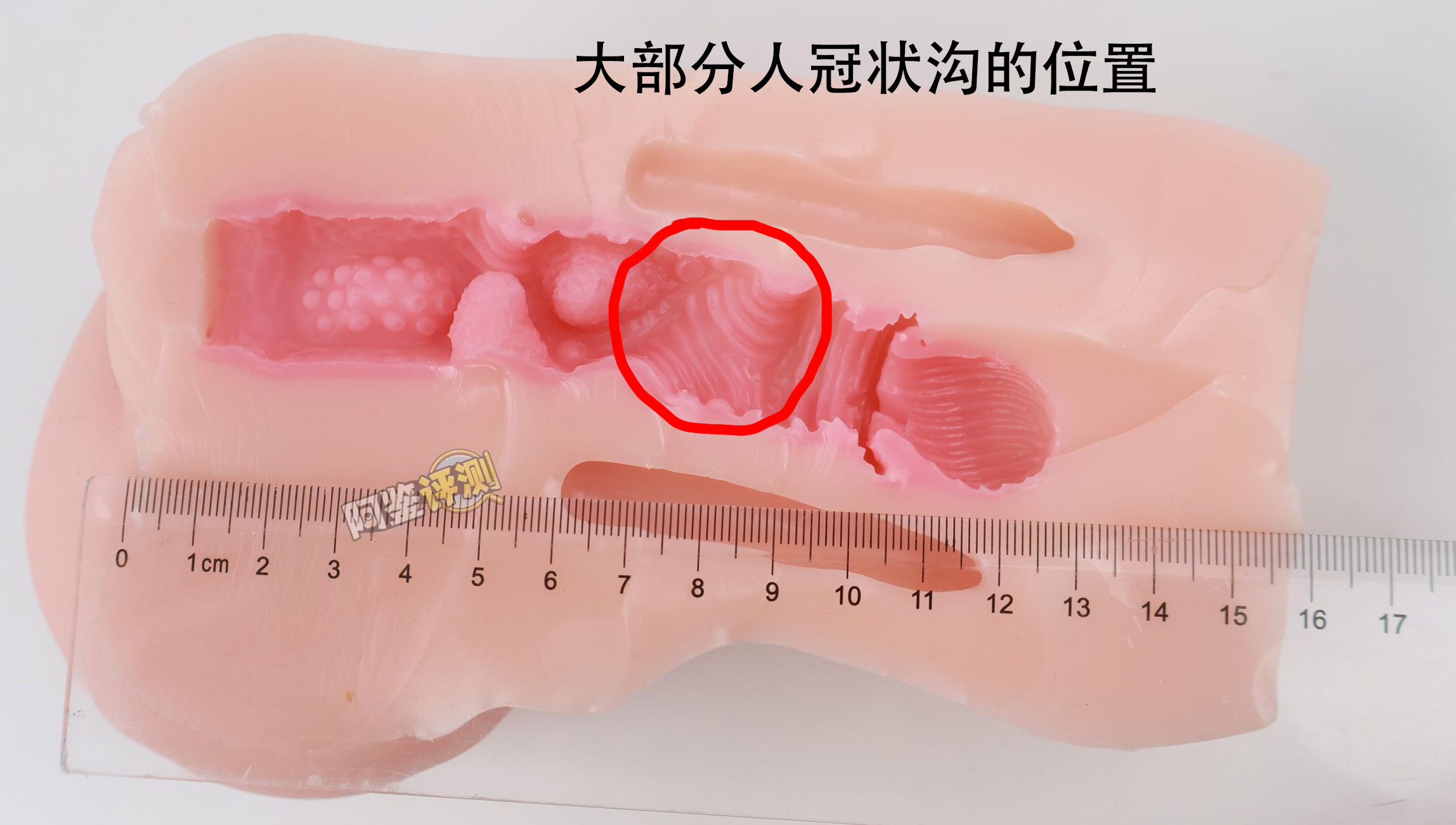 GXP——“克洛叶”评测!全新的“硬球运动”结构,但体验感上似乎有点弱势