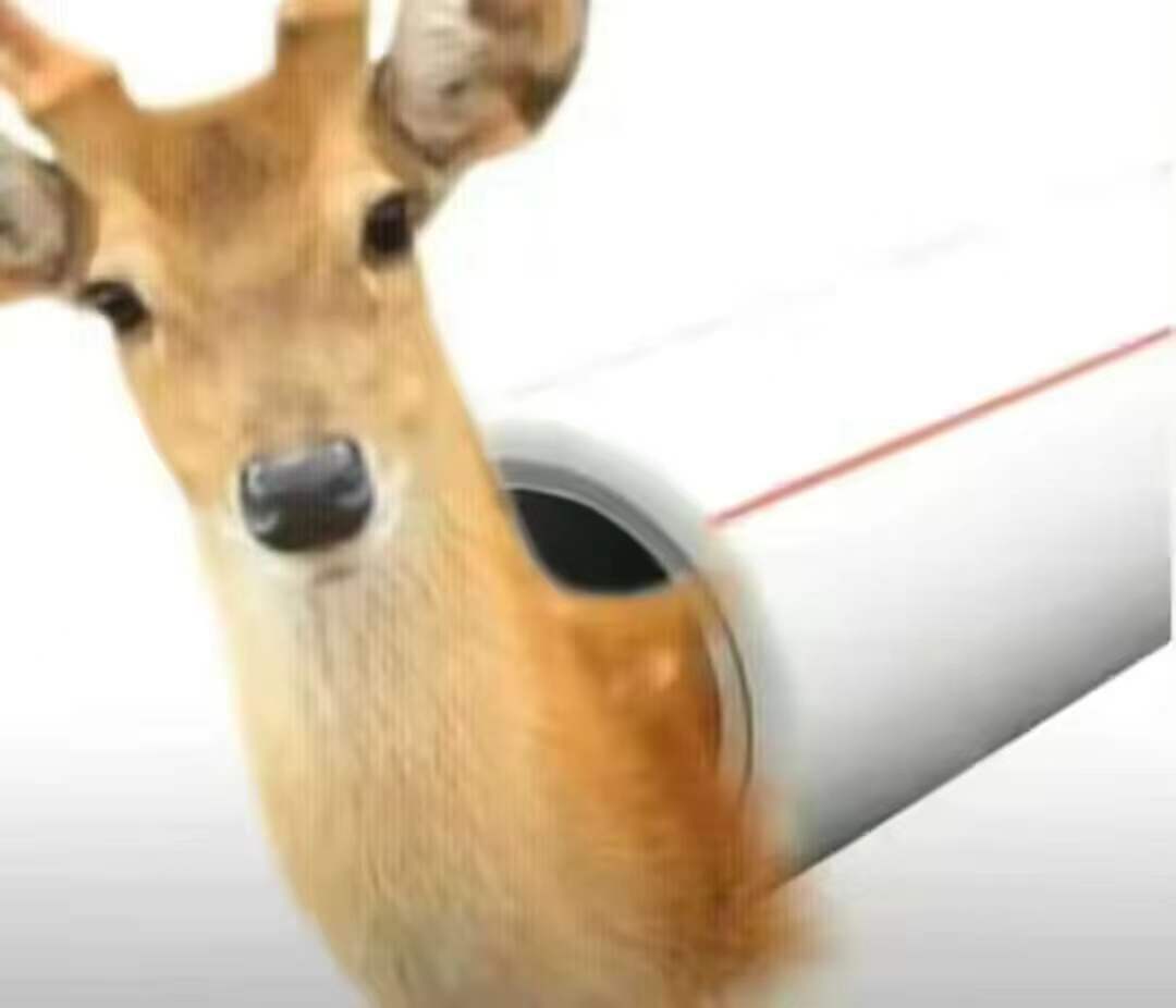 汤玛托易士——“异世界后宫物语—娜塔莉亚”评测！肉片杯这东西真的是越做越无聊了