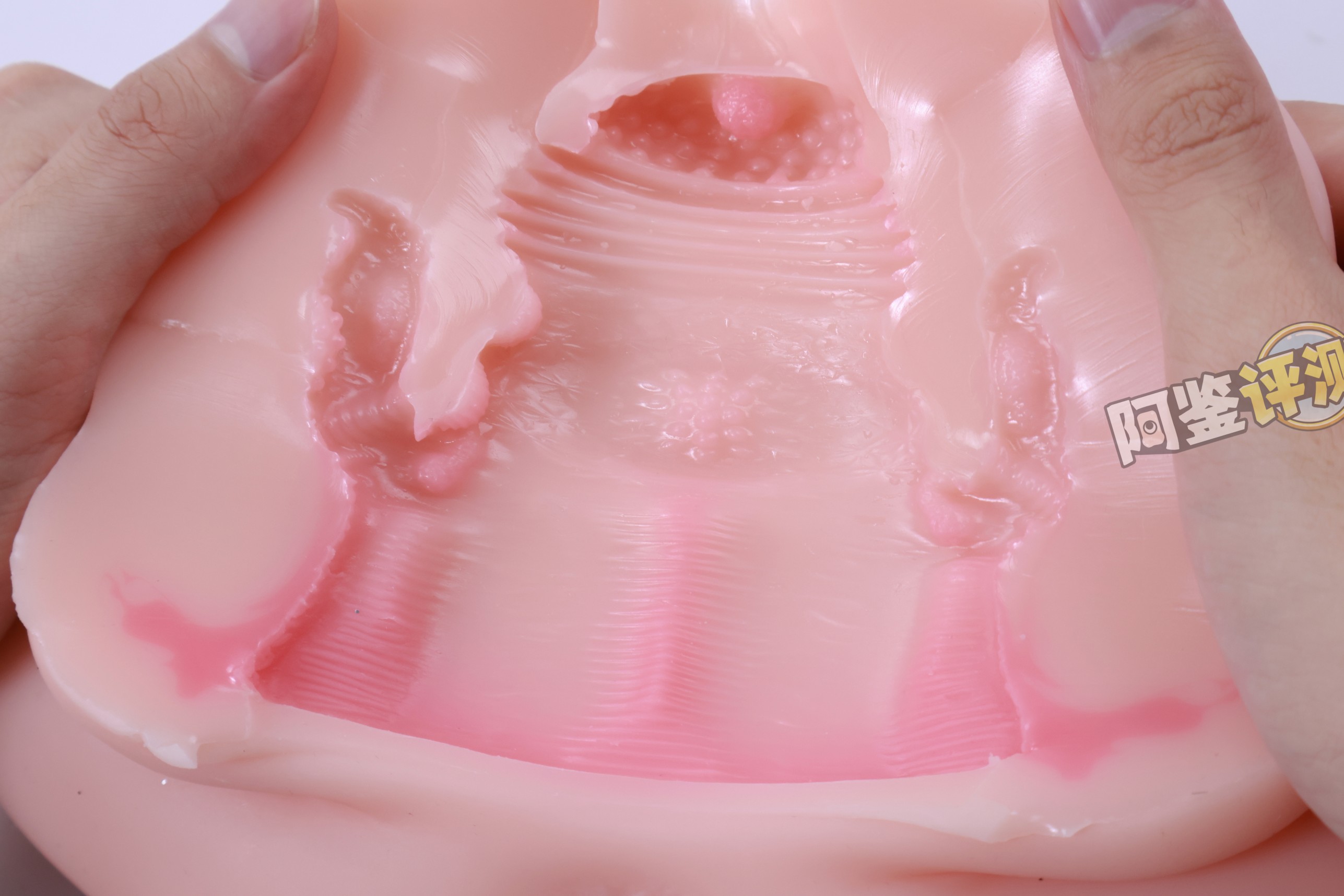 GXP——“兔仆长”评测！猎奇的双子宫小兔几，带腿造型的杯子是怎样体验？