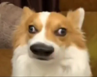 Lovefactor——“禁忌修女（新年礼盒）”评测！过于弱势的肉块结构，让错综起伏的肉块刺激感完全消失了...