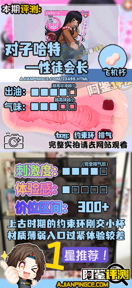 对子哈特——“性徒会长”评测！自慰套一般的贫瘠体验，如今几乎毫无价值的上古菊花杯