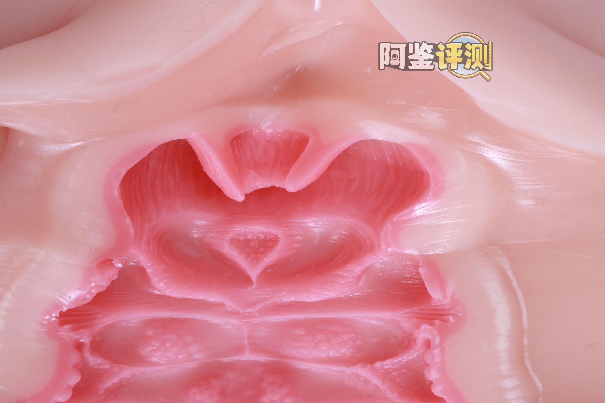 kaguyano——“油醋汁”评测!更适合后入的翘臀肉浪,不过因为造型缘故正面会有些塌陷