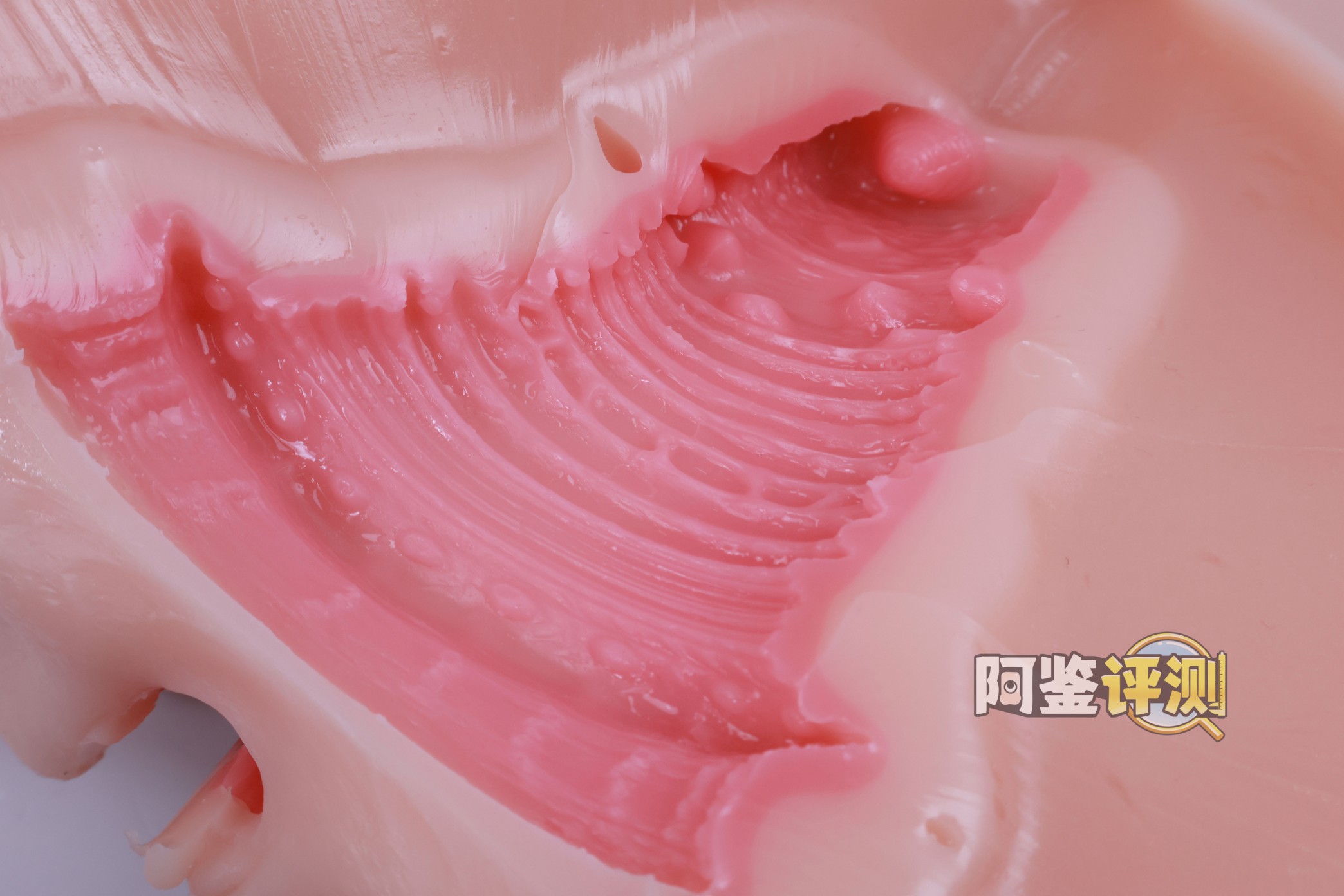 kaguyano——“油醋汁”评测!更适合后入的翘臀肉浪,不过因为造型缘故正面会有些塌陷