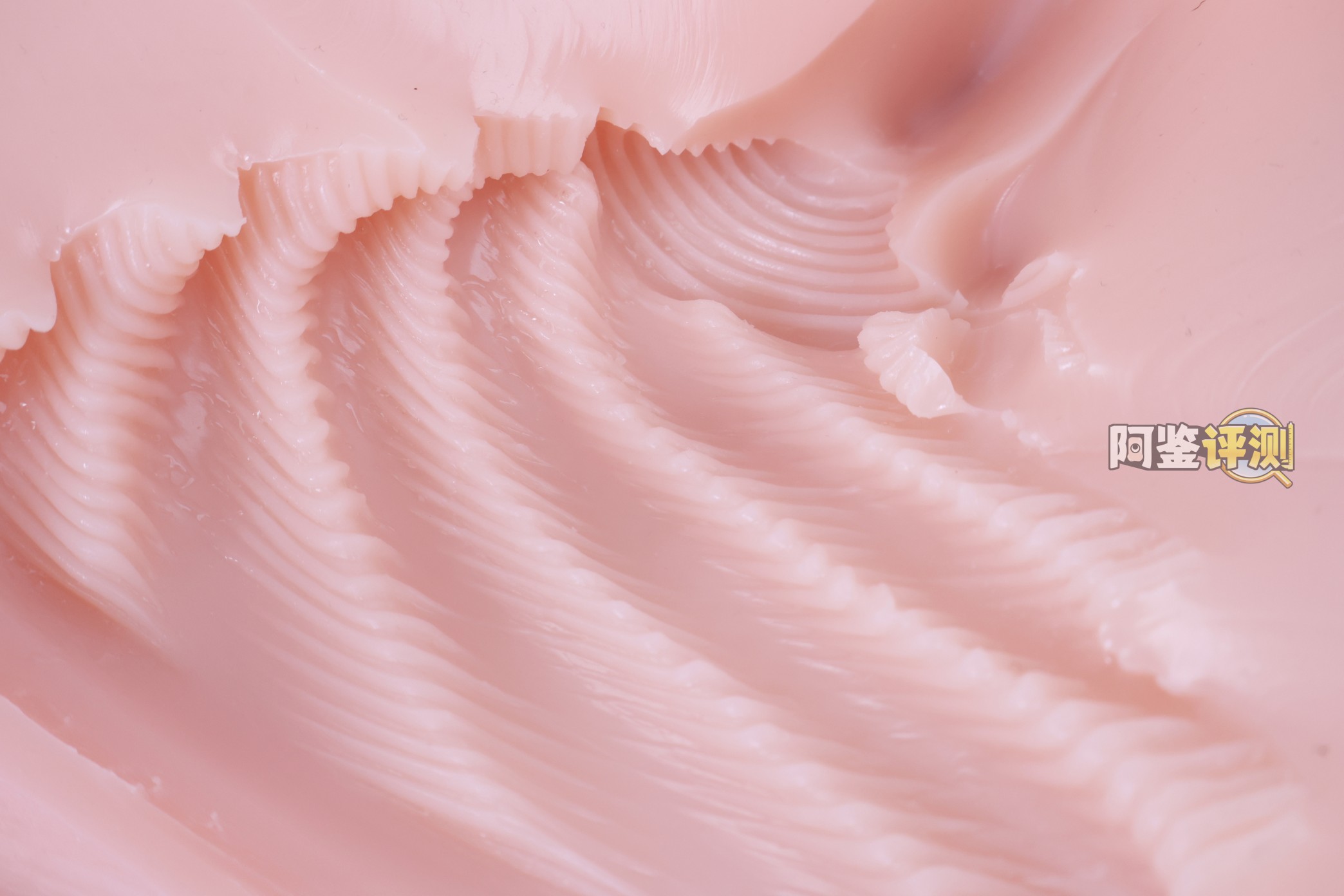 对子哈特——“唯樱璃”评测！再次更换材料的6kg性价比款臀模，非常“平均”的常规PP