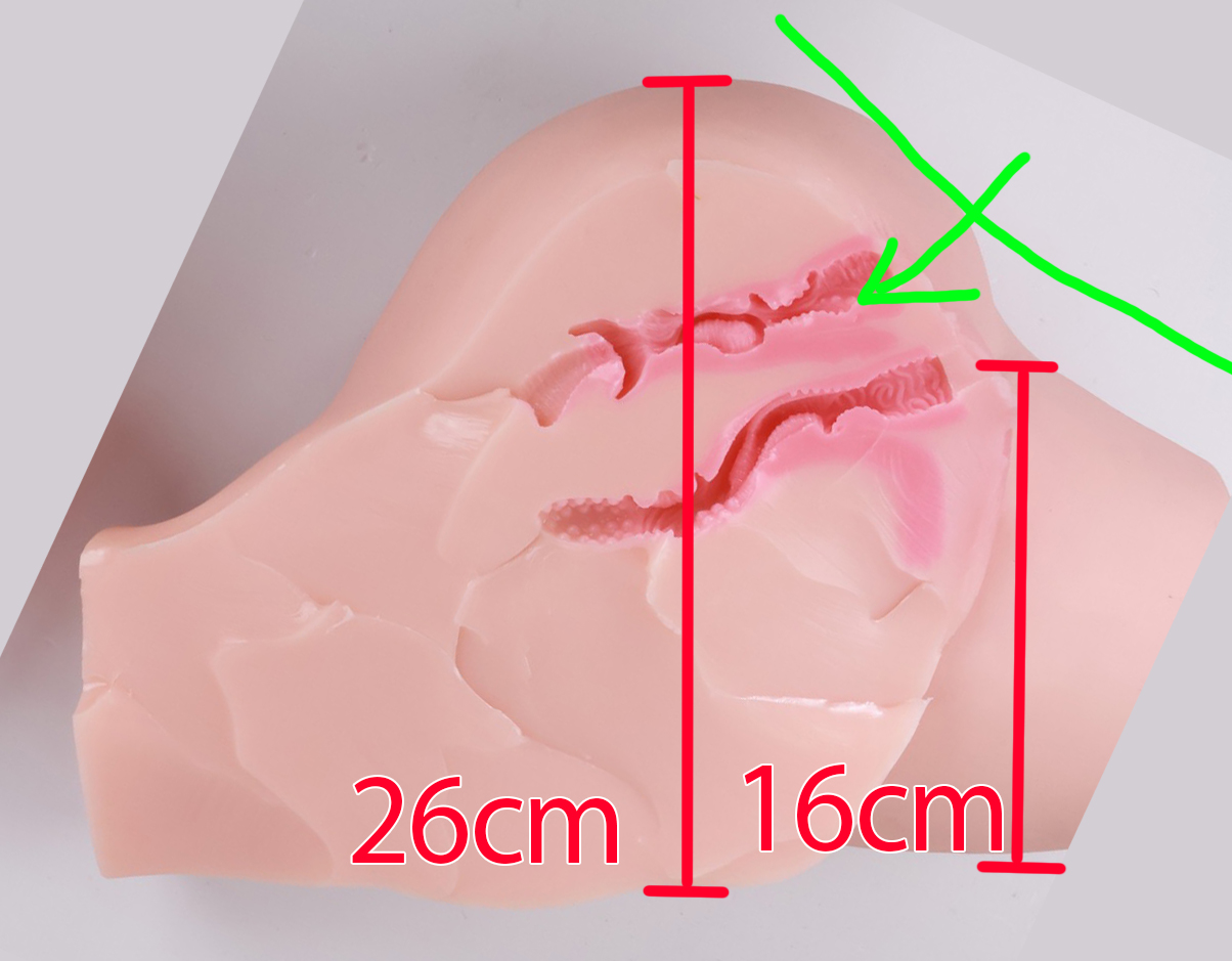 傲川——“臀娘”评测！专精趴式后入的超级大肉臀，床置“开大车”感觉的极致体现！