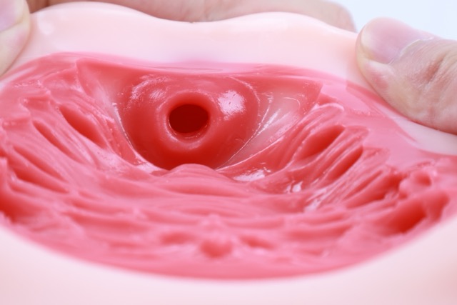 Lovefactor——“禁忌修女2代”评测！朴实无华的“黏膜感+大块”的排气子宫杯，平平无奇还是更具实用性？