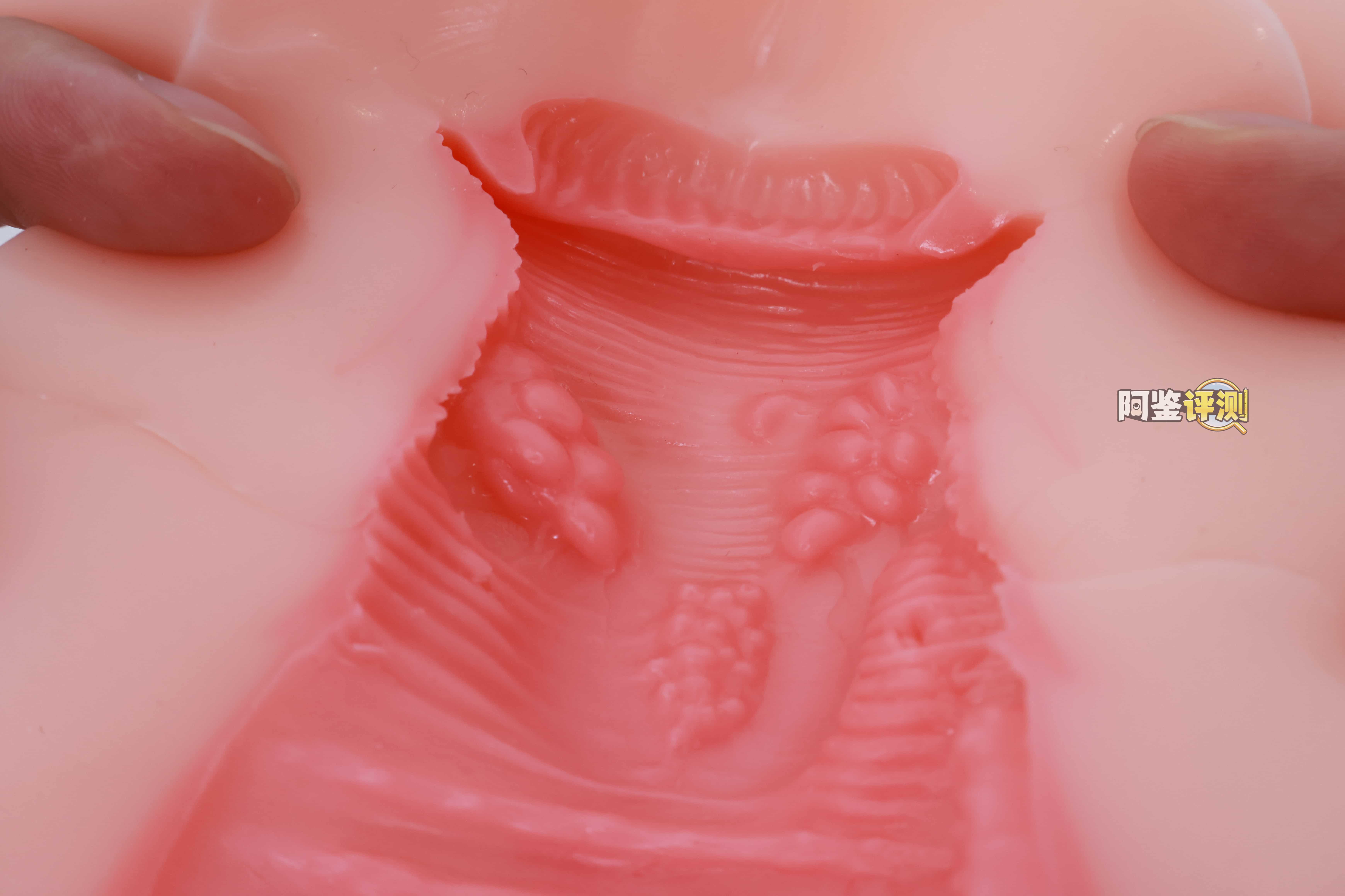 TMT——“樱川爱（礼盒版）”评测！防“查重”版水着琉璃子，继续加码的现代版“买椟还珠”型飞机杯