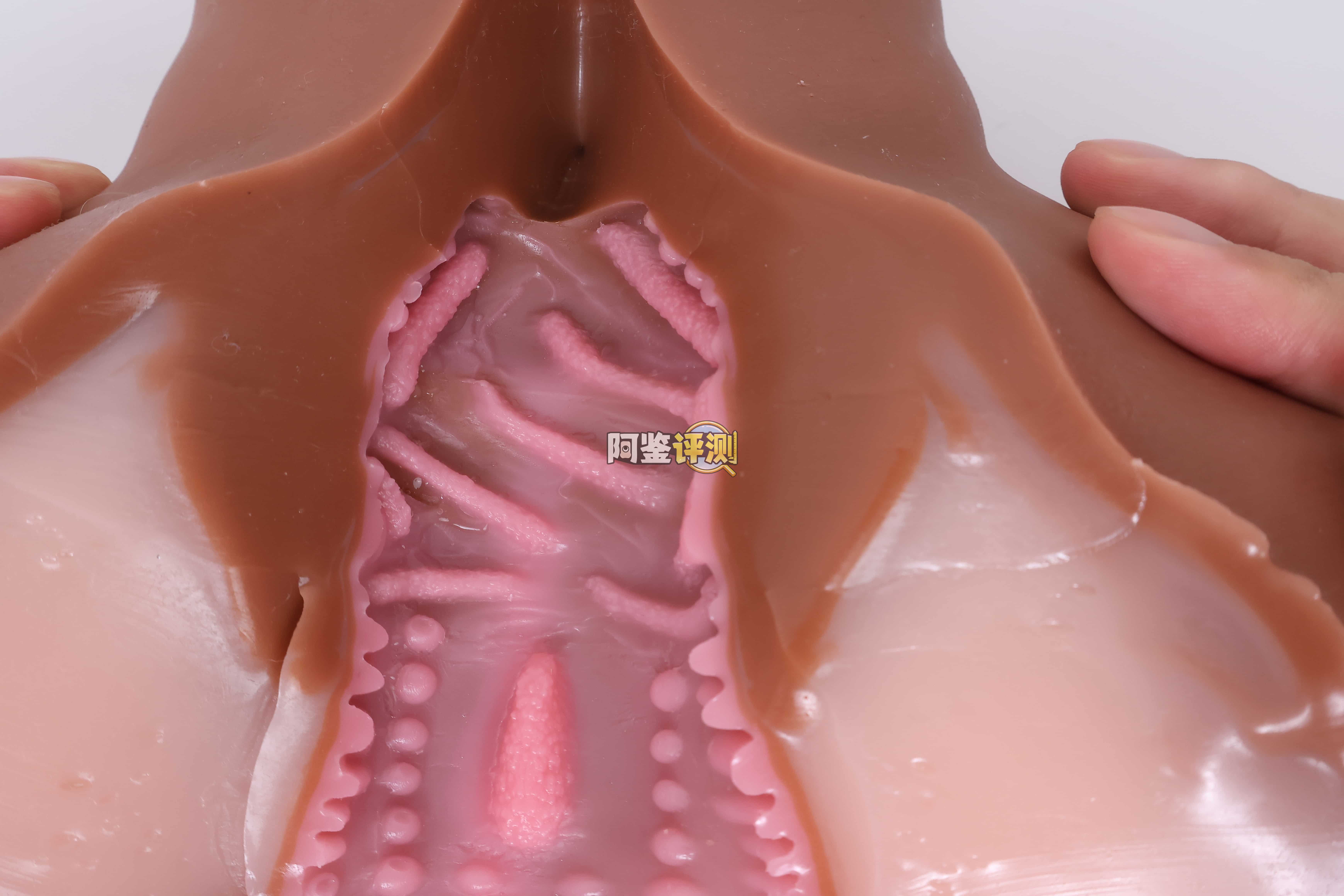 COC——"可可狼姬（软版）"评测！仅仅是臀部做了一点加软，就对整个玩具体验带来了不小的提升