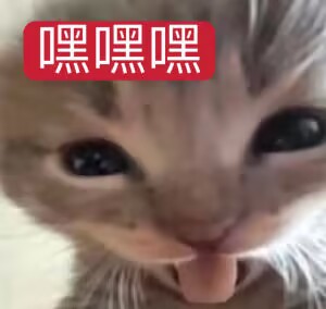 2025年年终—新品评测总结！三年半年近600篇文章，阿鉴的精神状态可好？